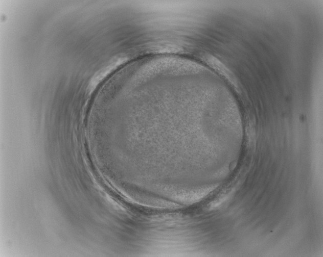 X0000060240721200511111928