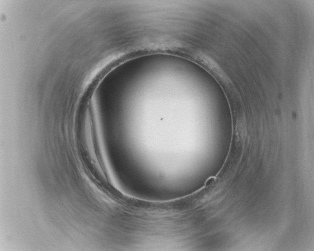 X0000060240722200511111928