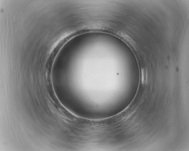 X0000060240723200511111928