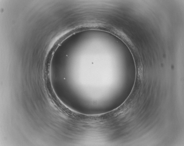 X0000060240724200511111928