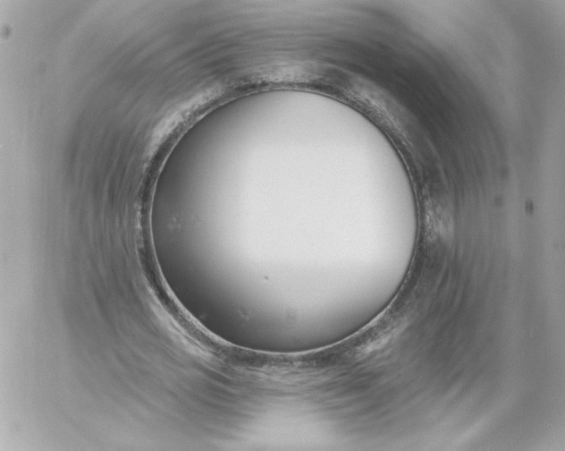 X0000060240725200511111929