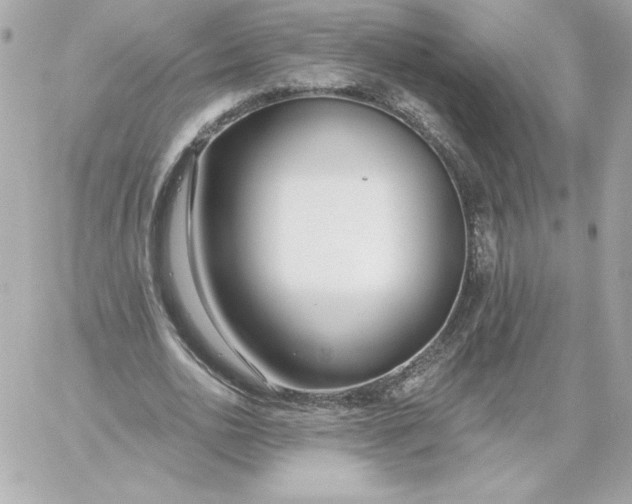 X0000060240726200511111929