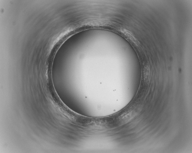 X0000060240727200511111929