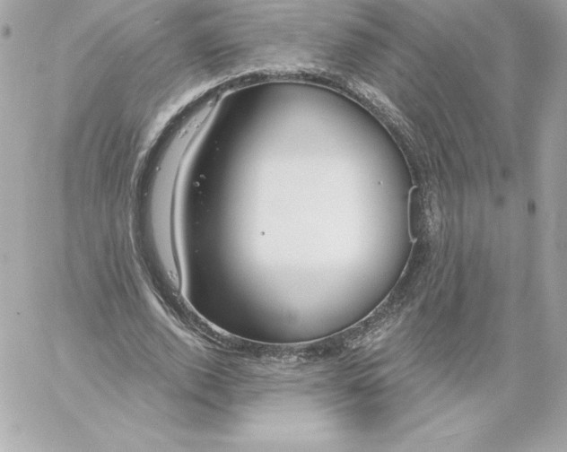 X0000060240728200511111929