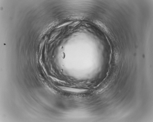 X0000060240729200511111929