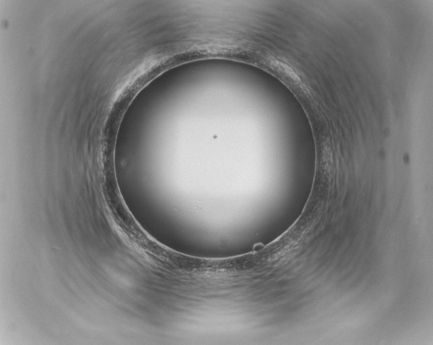 X0000060240730200511111929