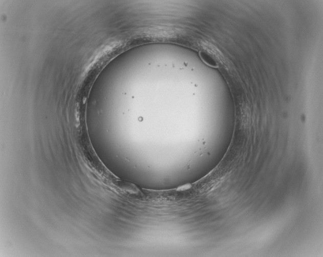 X0000060240731200511111929