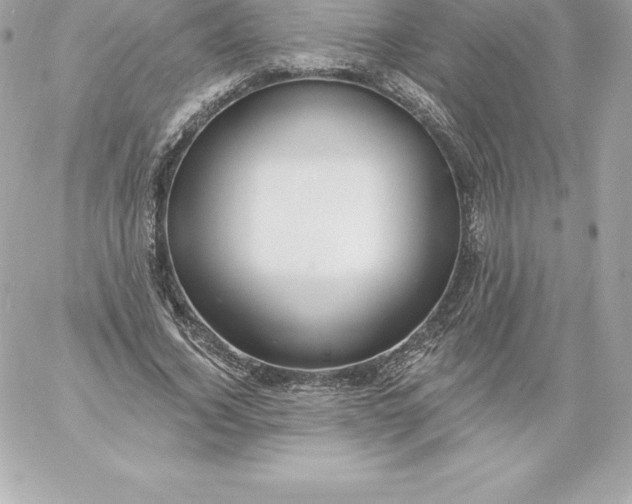 X0000060240732200511111929