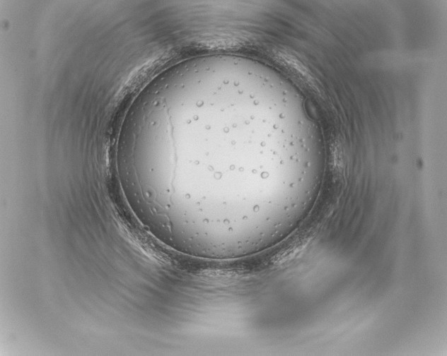 X0000060240733200511111929