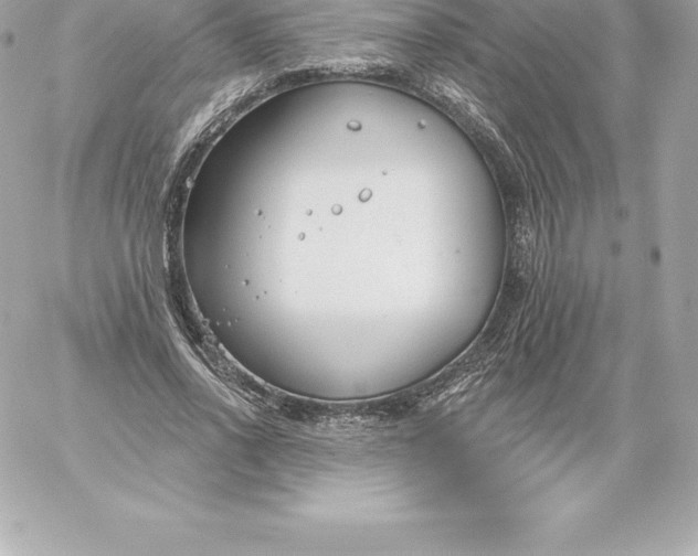 X0000060240734200511111929