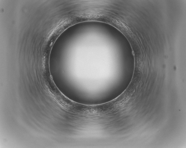 X0000060240735200511111929