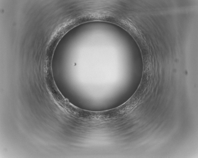 X0000060240736200511111929