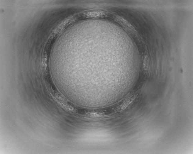 X0000060240737200511111929