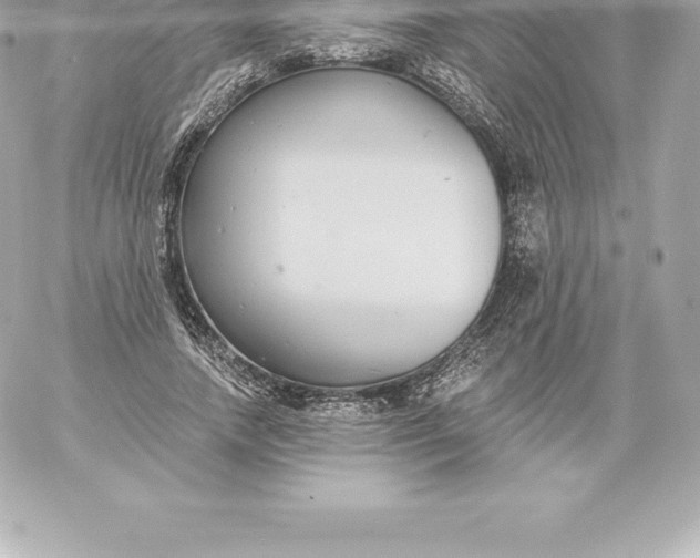 X0000060240738200511111929