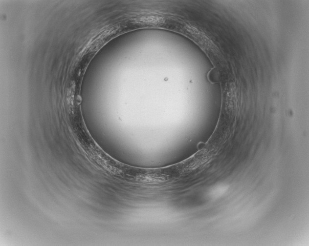 X0000060240739200511111929