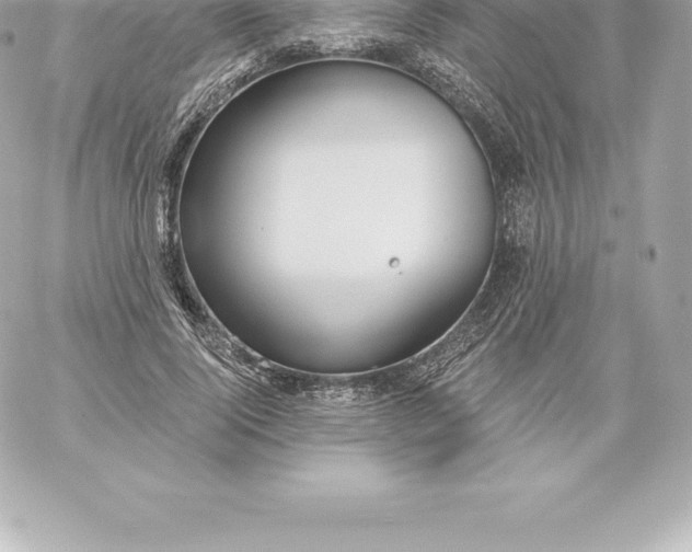 X0000060240740200511111929