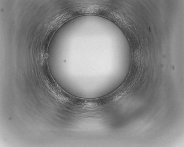 X0000060240741200511111929