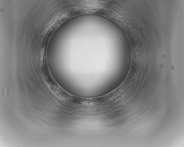 X0000060240742200511111929