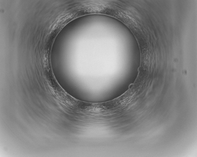 X0000060240743200511111929