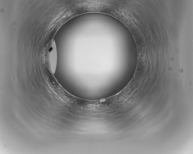 X0000060240744200511111929