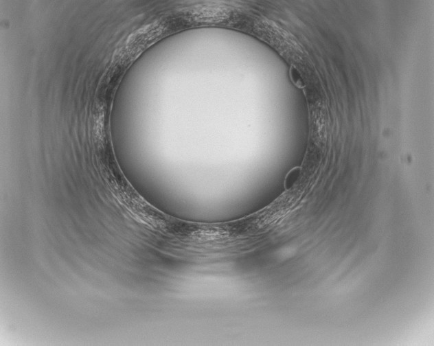 X0000060240745200511111929