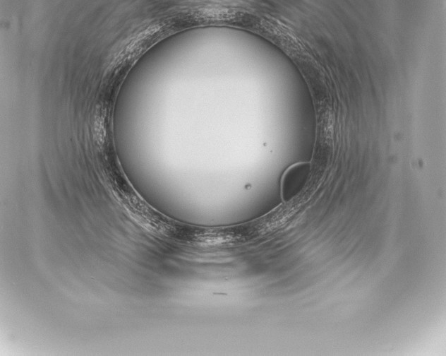 X0000060240746200511111929