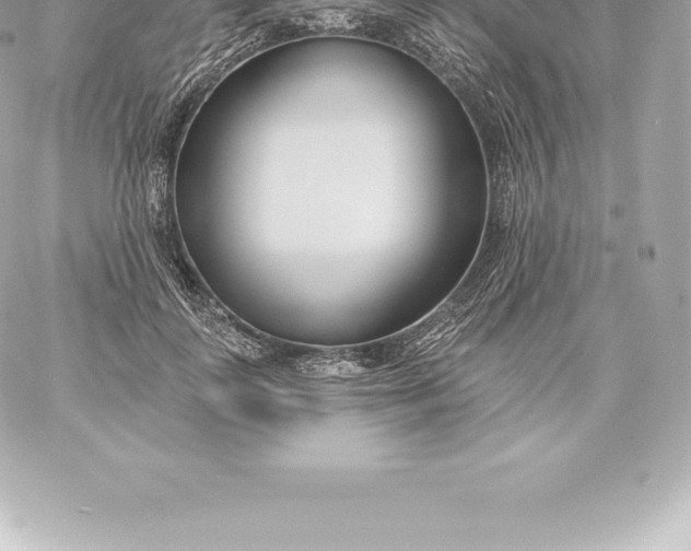 X0000060240747200511111929