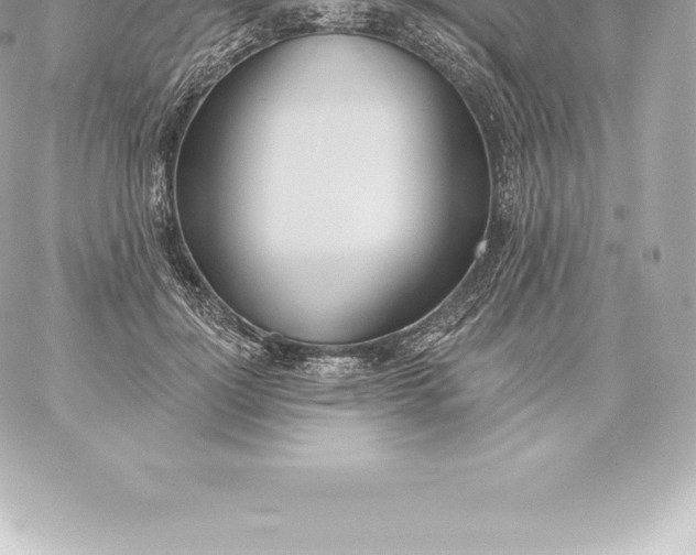 X0000060240748200511111929