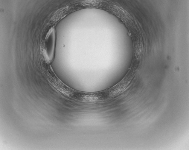 X0000060240749200511111929