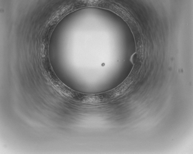 X0000060240750200511111929