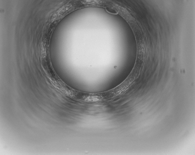 X0000060240751200511111929