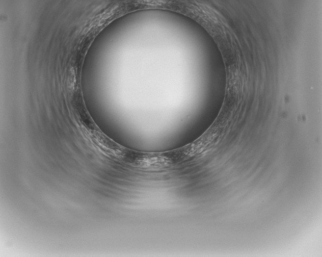 X0000060240752200511111929