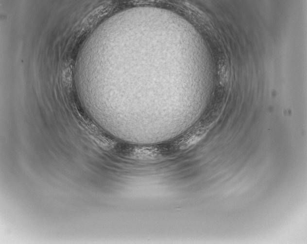 X0000060240753200511111929