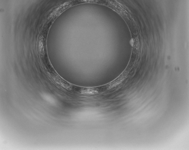 X0000060240754200511111929