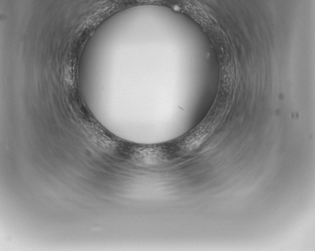 X0000060240755200511111929