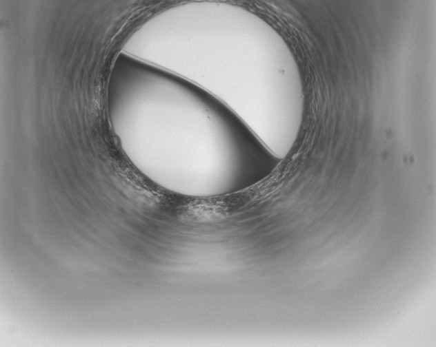 X0000060240756200511111929