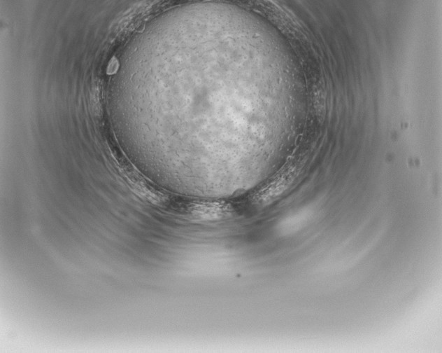 X0000060240757200511111929