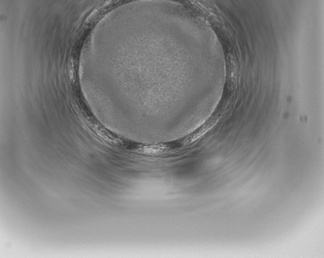 X0000060240758200511111929