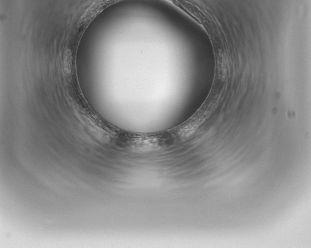 X0000060240760200511111929