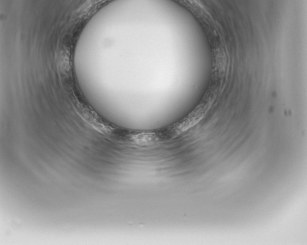 X0000060240761200511111929