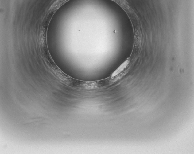 X0000060240762200511111929