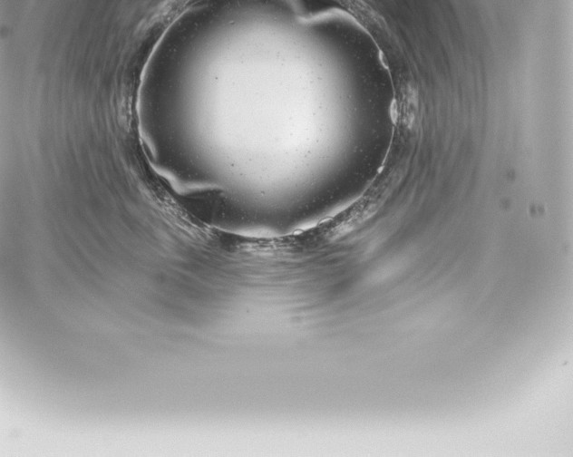 X0000060240763200511111929