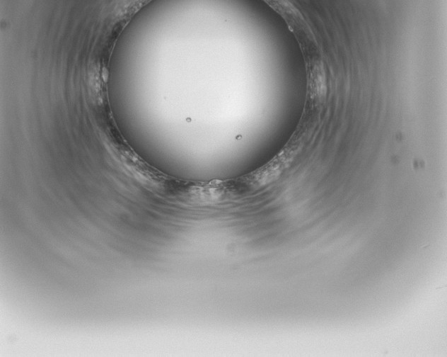 X0000060240764200511111929