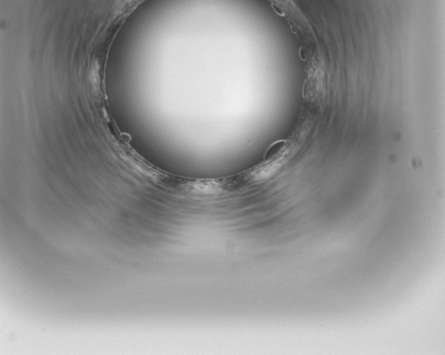 X0000060240765200511111929