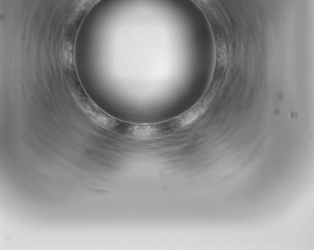 X0000060240766200511111929