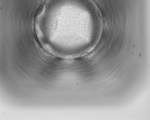 X0000060240767200511111929