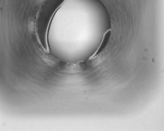 X0000060240768200511111929