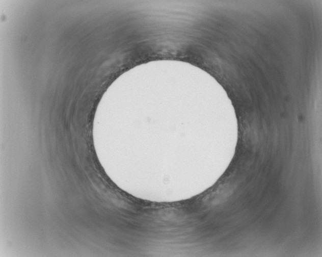 X0000060240769200511111928