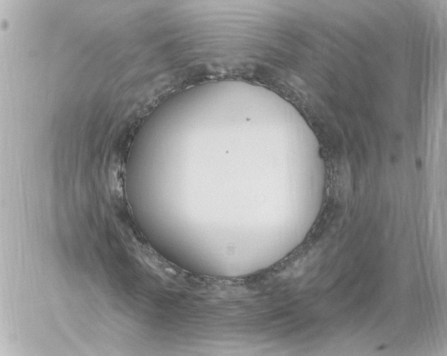 X0000060240770200511111928