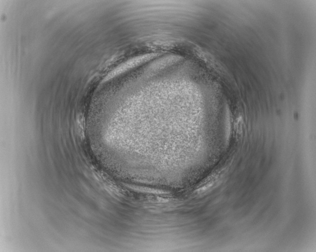 X0000060240772200511111928